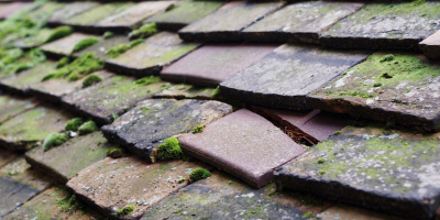 Waungilwen roof repair costs